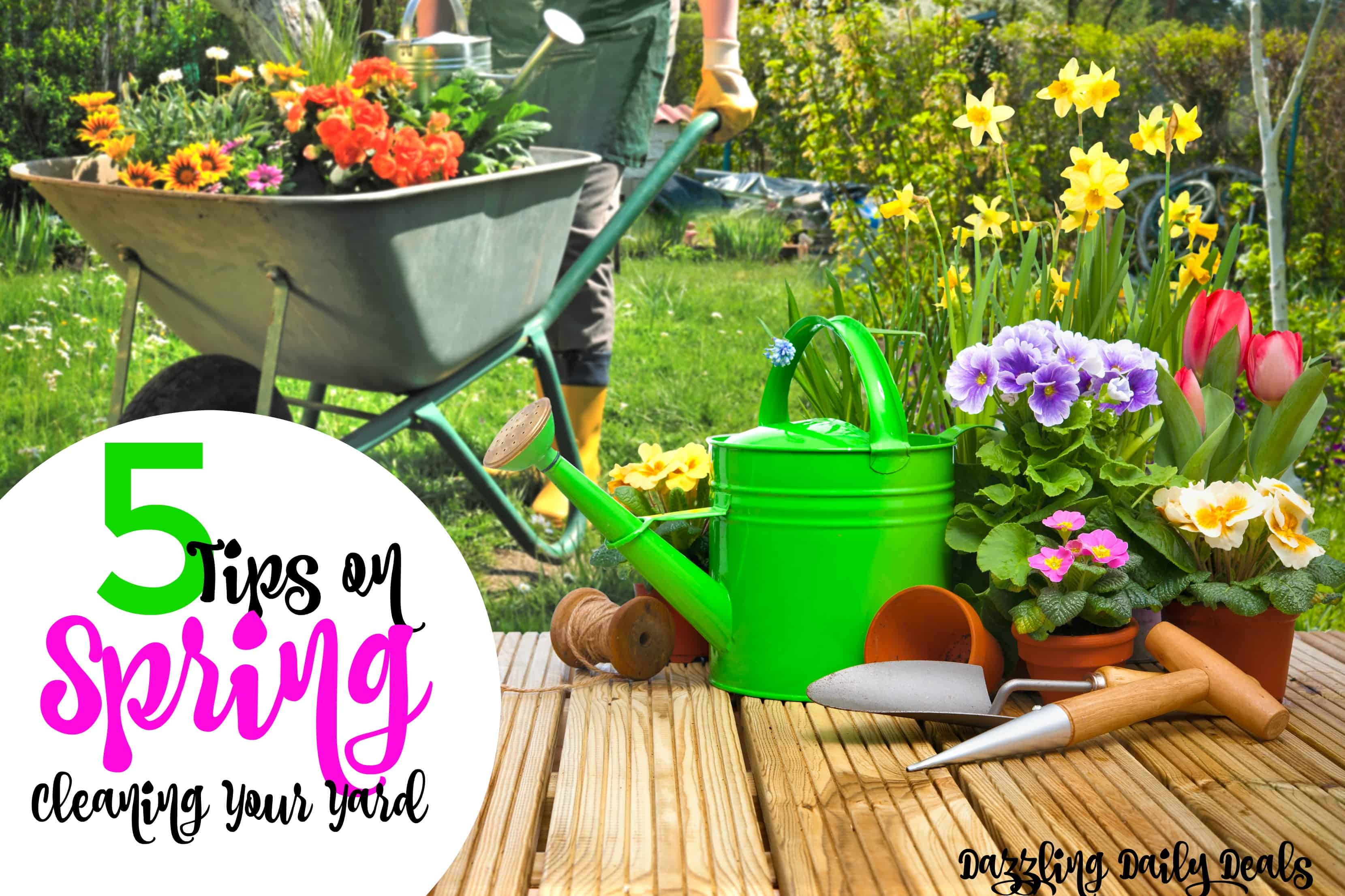 5-tips-on-spring-cleaning-your-yard-dazzling-daily-deals