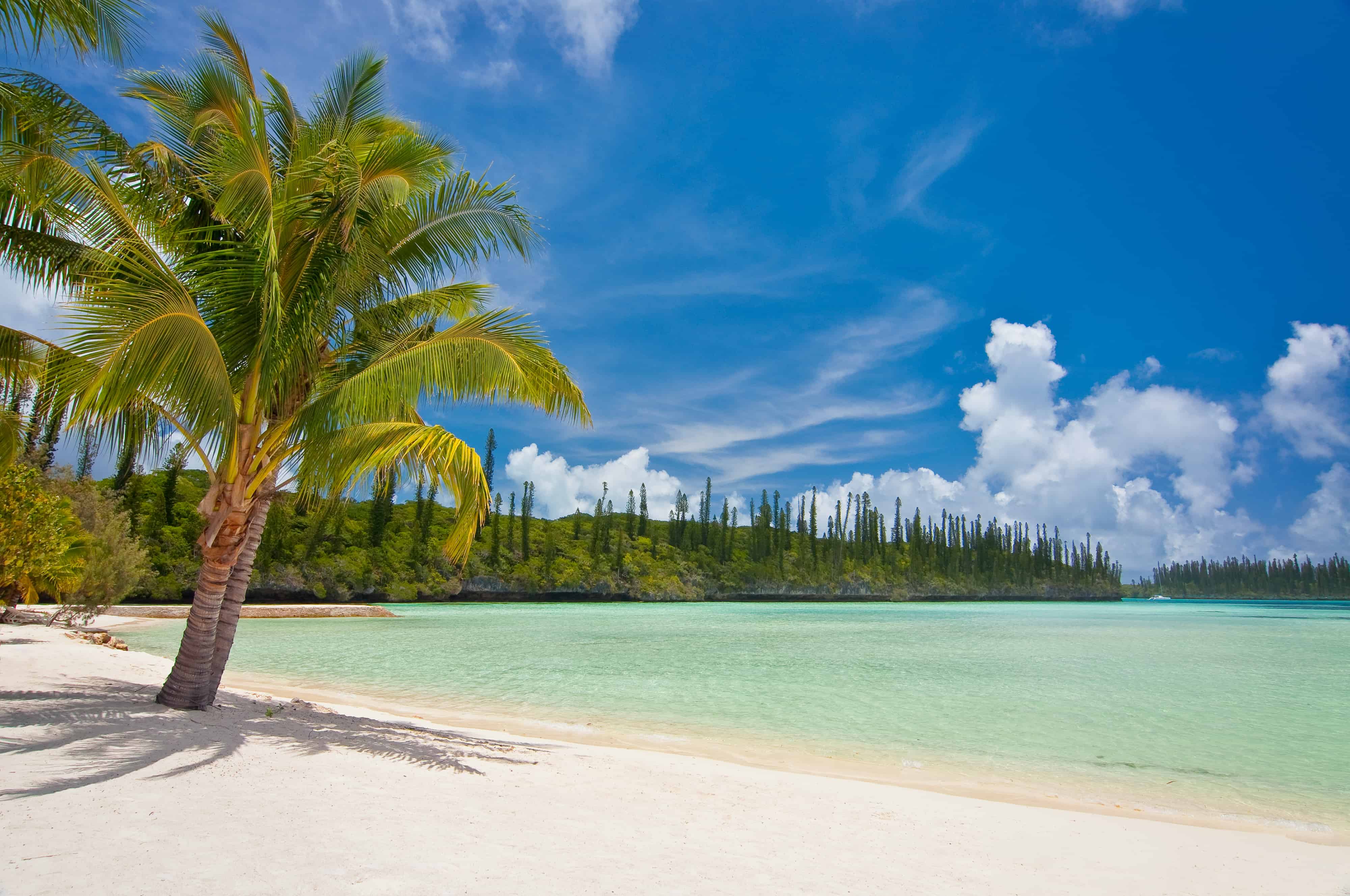 What Makes New Caledonia So Special Dazzling Daily Deals Dazzling Daily ...